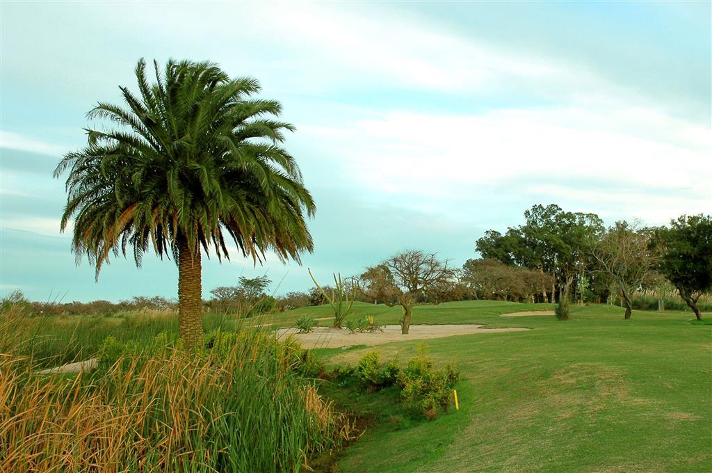 Sheraton Colonia Golf & Spa Resort Колония-дель-Сакраменто Экстерьер фото Golf course at Lake Marion